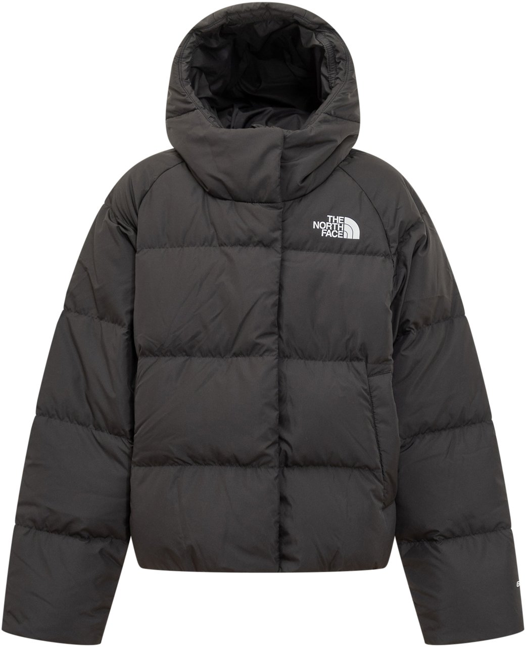 The North Face The North Face Piumino Con Cappuccio Zwart