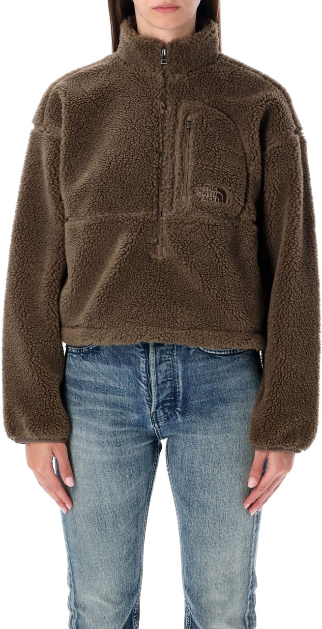 The North Face Extreme Pile 2 Pullover Marrone Bruin