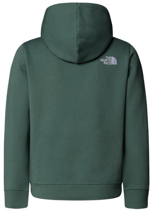 The North Face Drew Peak Hoodie Groen