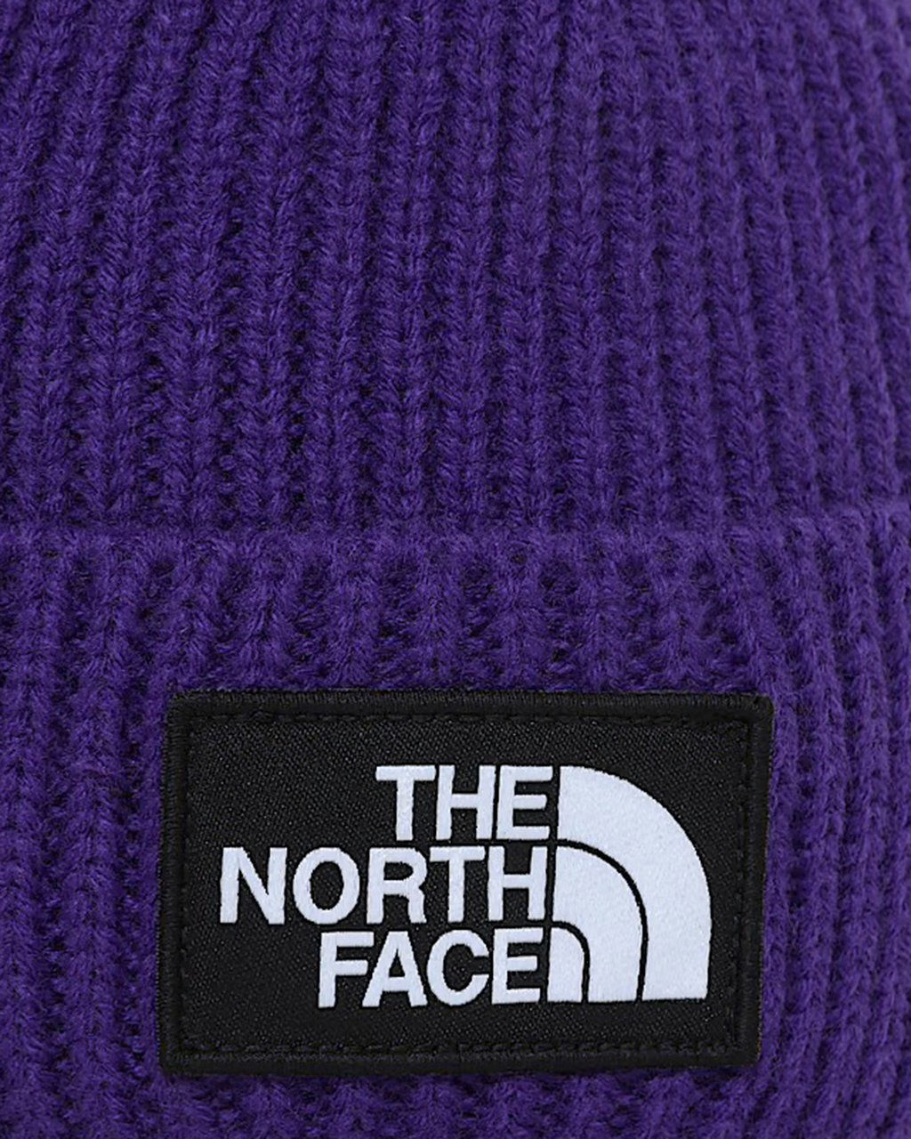 The North Face Hats Peak Purple Paars