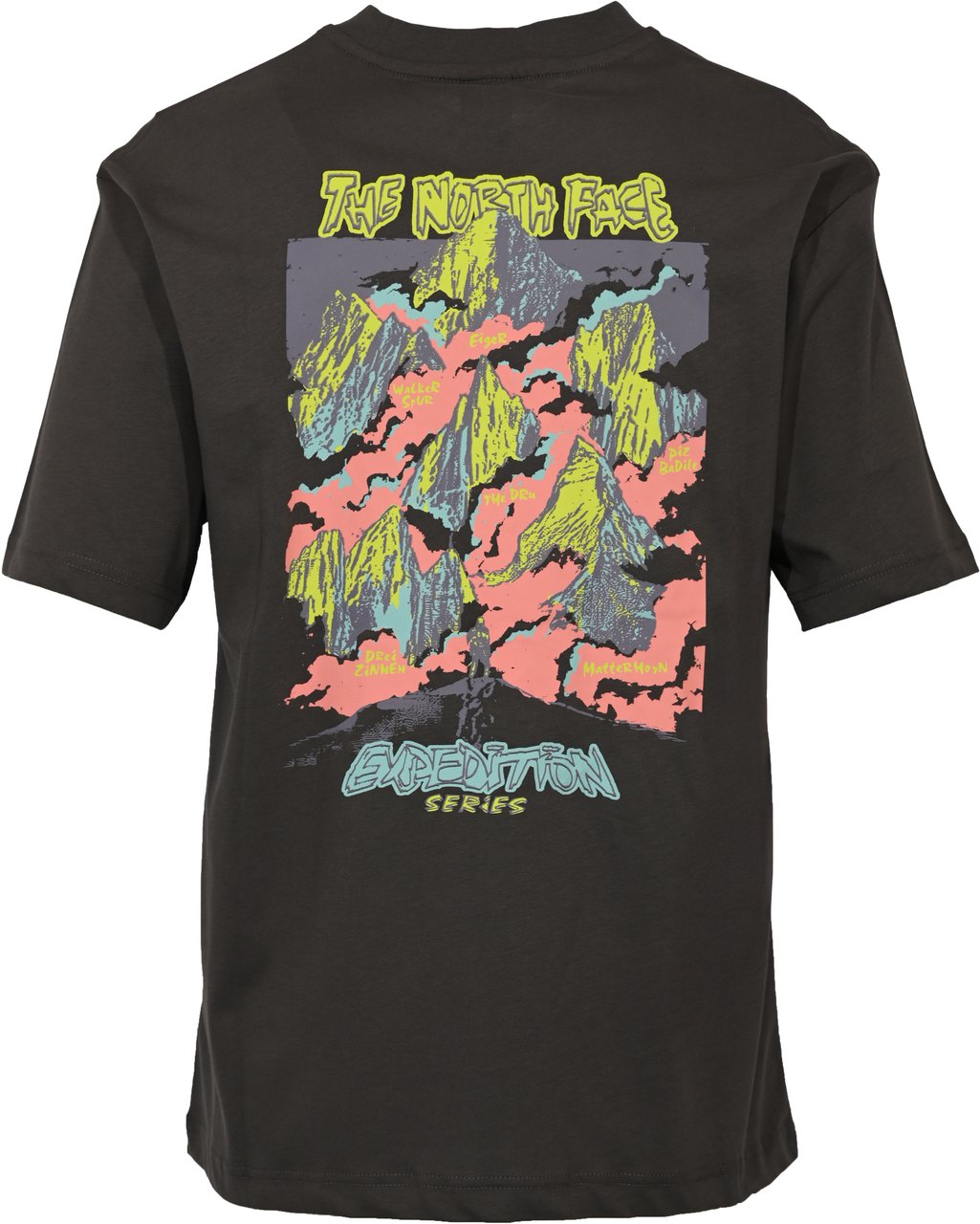 The North Face T-Shirts And Polos Grey Grijs