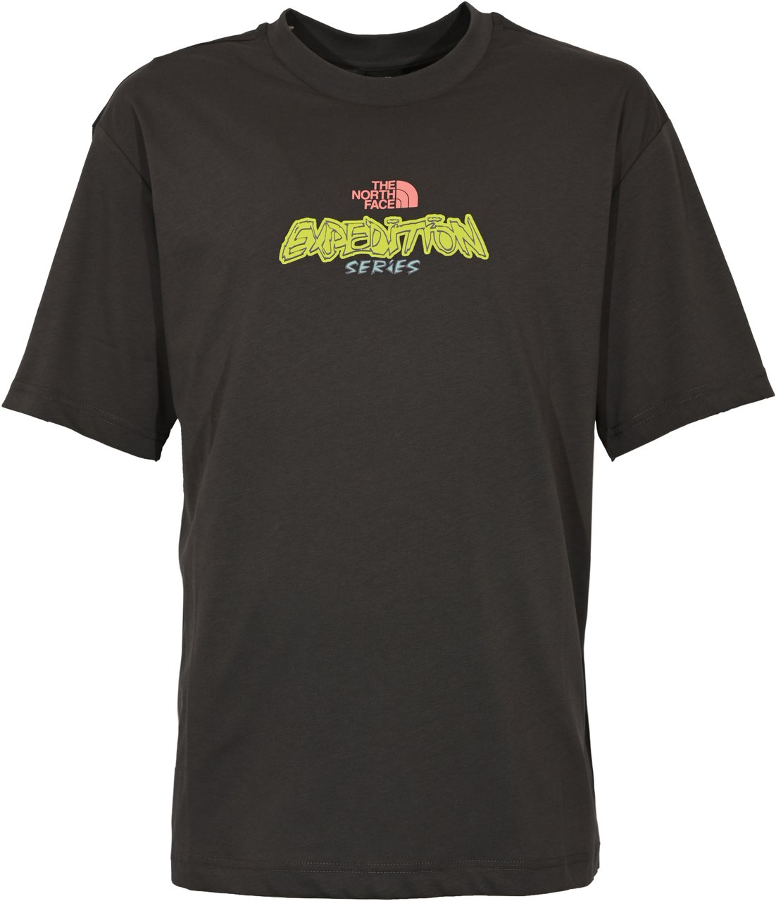 The North Face T-Shirts And Polos Grey Grijs