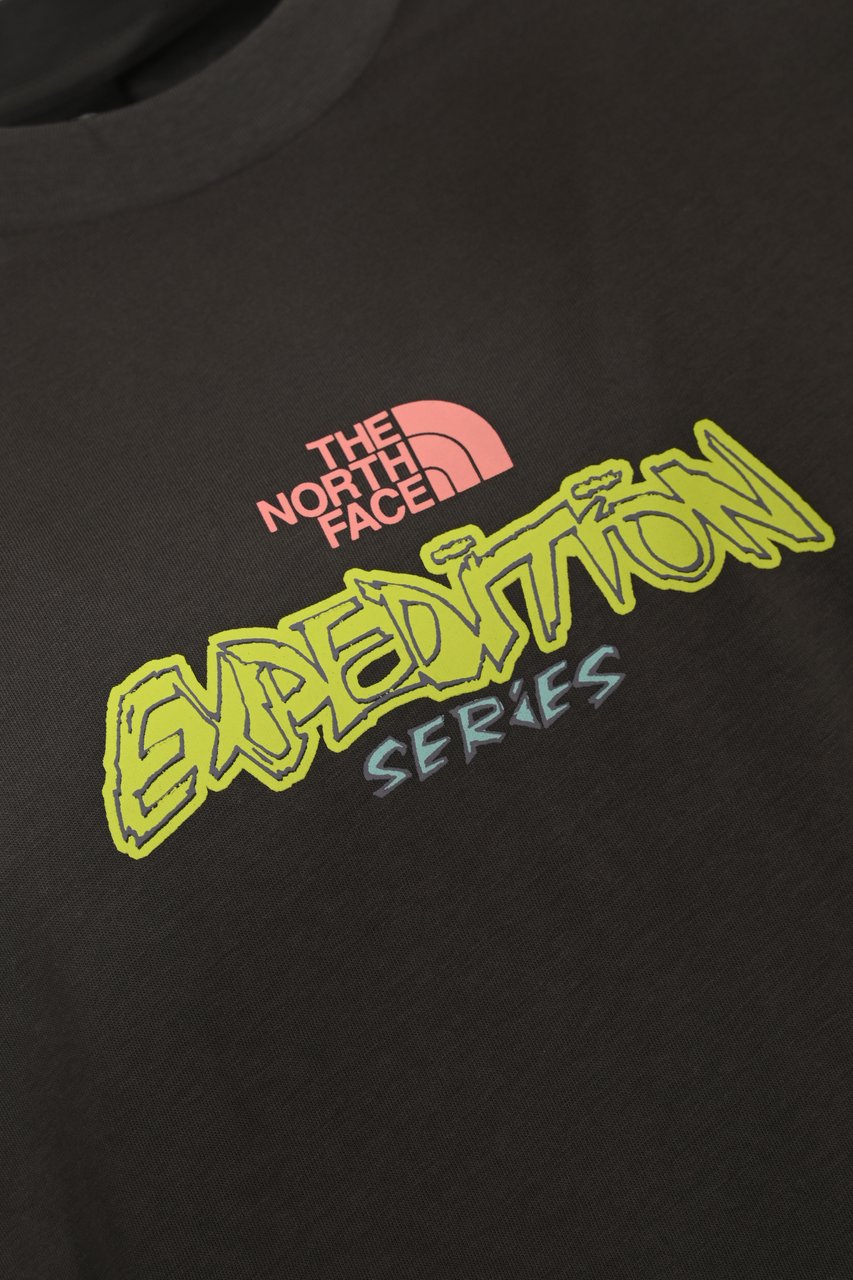 The North Face T-Shirts And Polos Grey Grijs