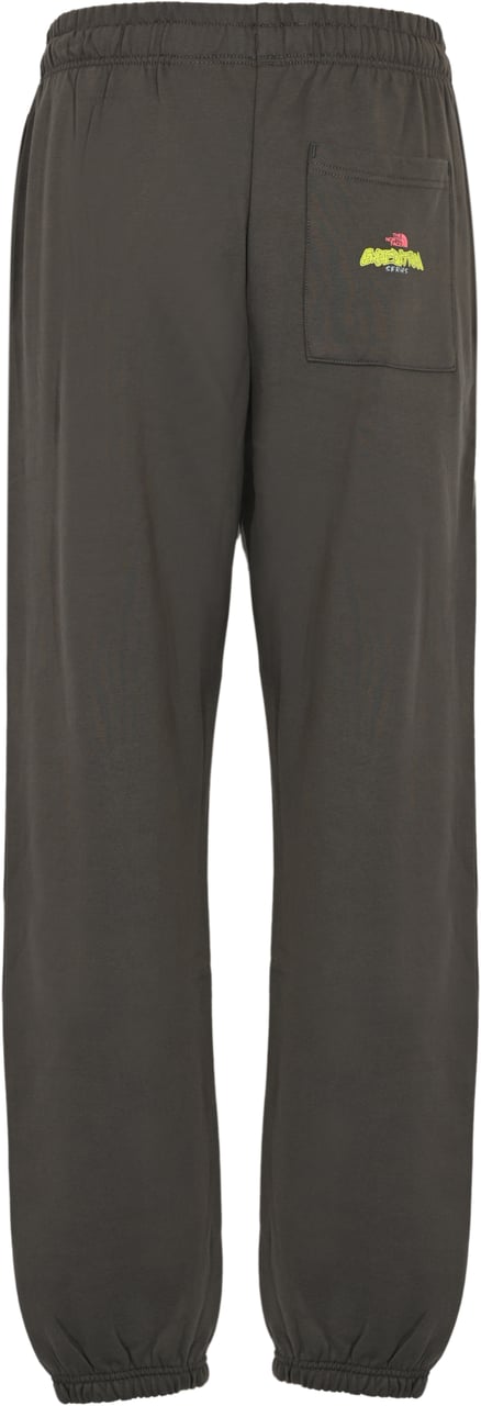 The North Face Trousers Grey Grijs