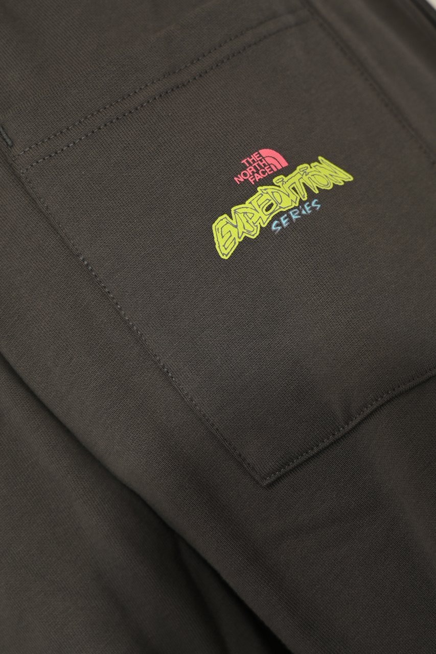 The North Face Trousers Grey Grijs