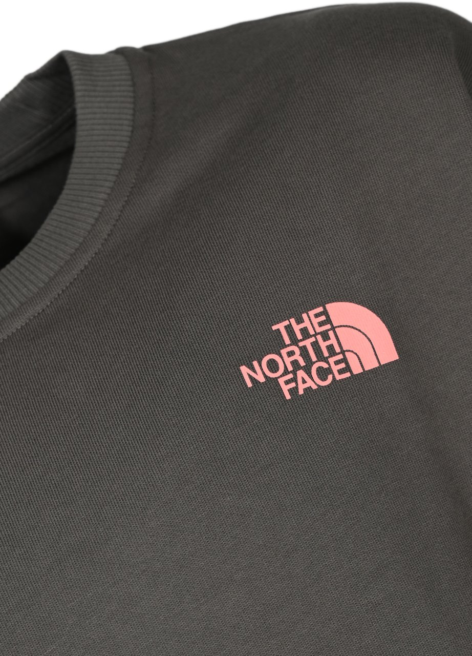 The North Face Sweaters Grey Grijs