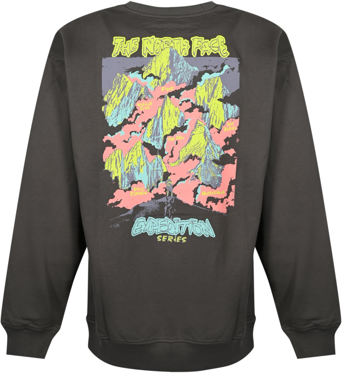 The North Face Sweaters Grey Grijs