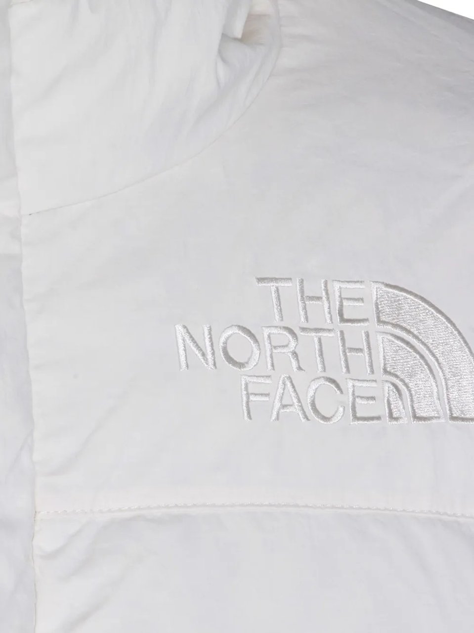 The North Face h hmlyn down dtm parka divers Divers