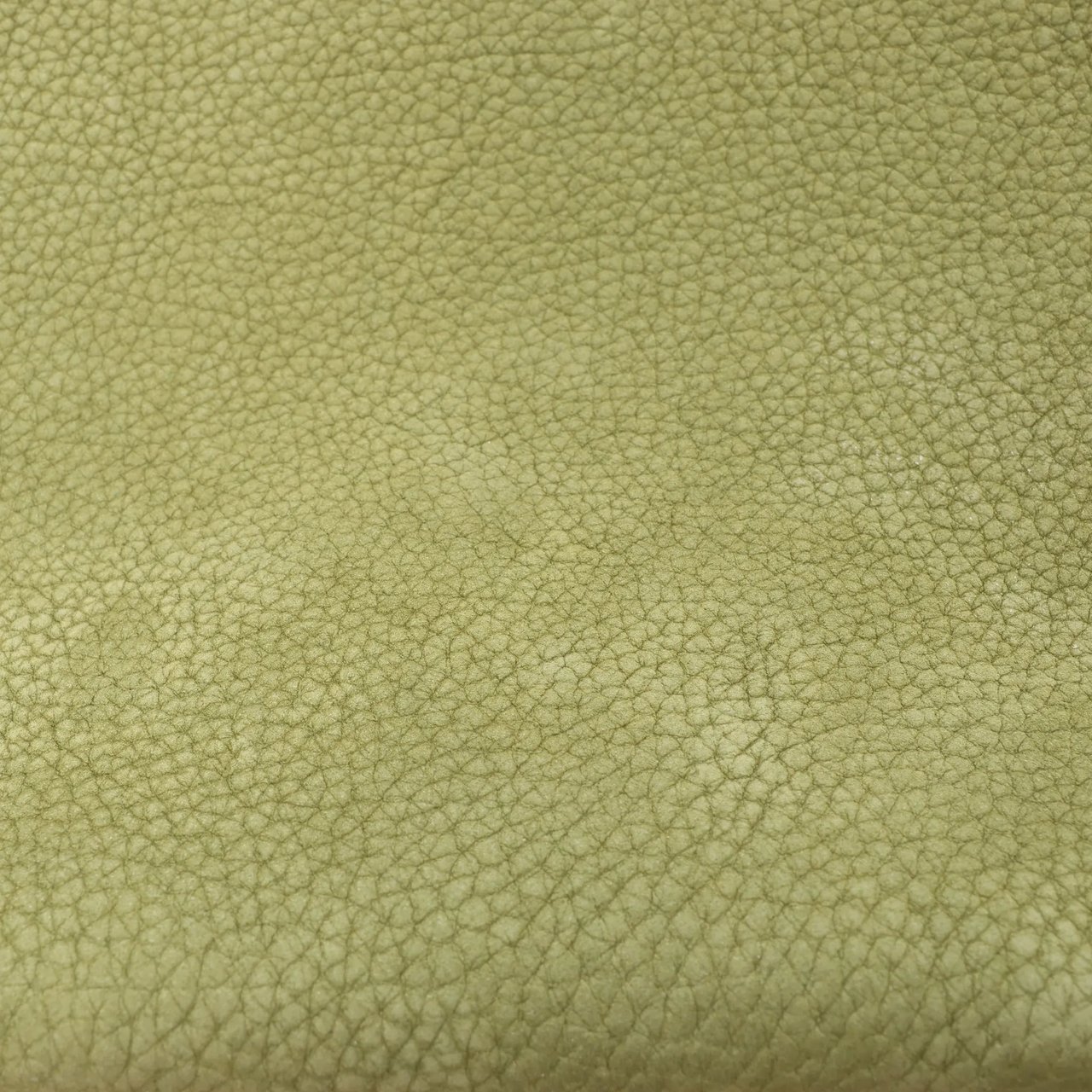 The Row Park Tote Small Leather Shoulder bag in Green Divers