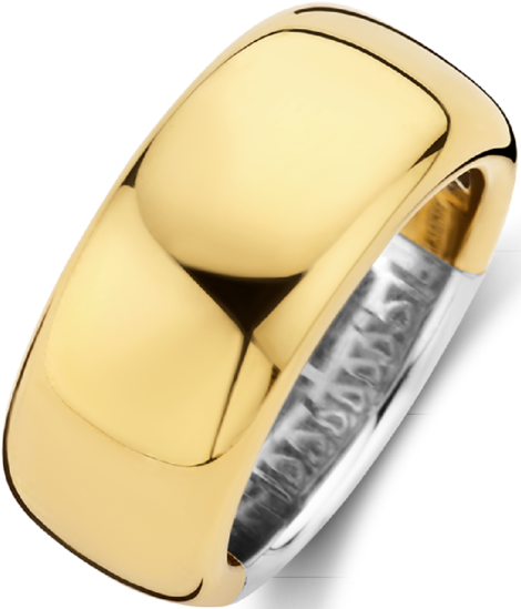 Ti Sento Ti Sento Ring 12234SY/54 Zilver met Geelgouden Plating 10mm Maat 54 Goud