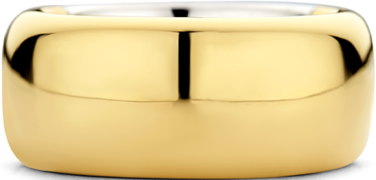 Ti Sento Ti Sento Ring 12234SY/54 Zilver met Geelgouden Plating 10mm Maat 54 Goud