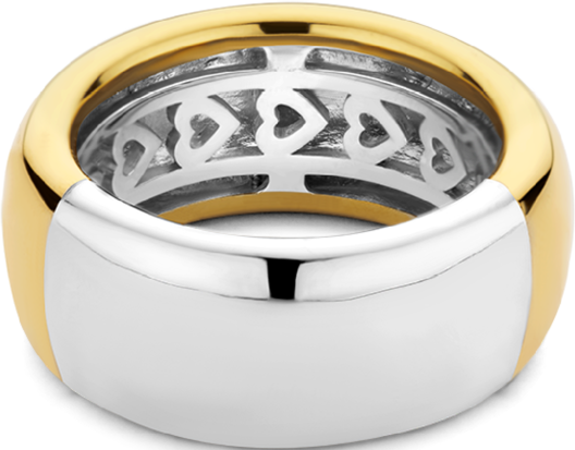Ti Sento Ti Sento Ring 12234SY/54 Zilver met Geelgouden Plating 10mm Maat 54 Goud