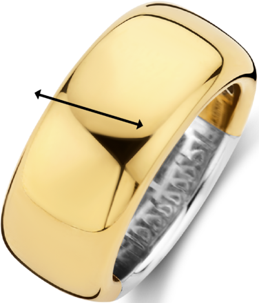 Ti Sento Ti Sento Ring 12234SY/54 Zilver met Geelgouden Plating 10mm Maat 54 Goud