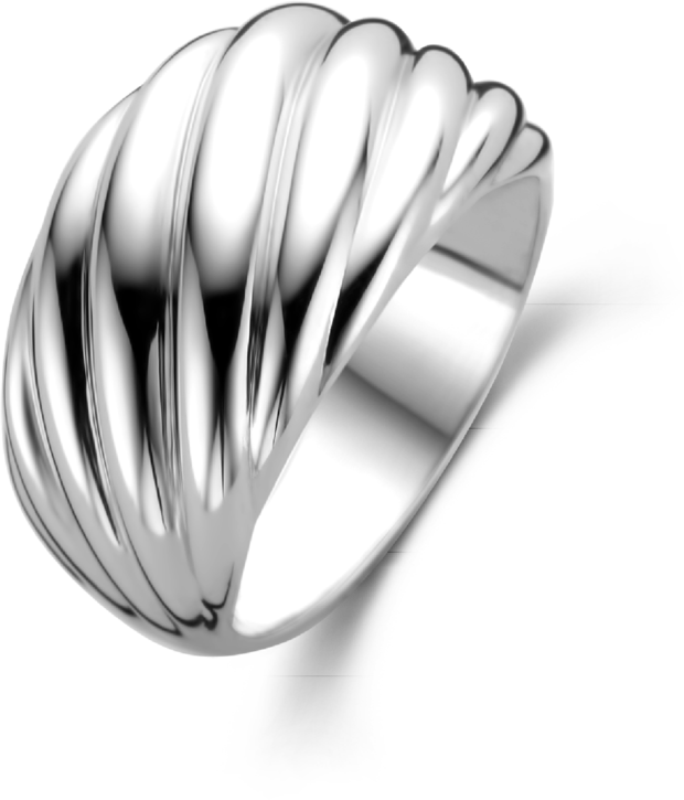 Ti Sento Ti Sento Ring 12238SI/54 Zilver Gedraaid Design Maat 54 Zilver