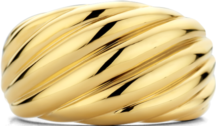 Ti Sento Ti Sento Ring 12238SY/56 Ring Gedraaid Zilver met Geelgouden Plating Maat 56 Goud