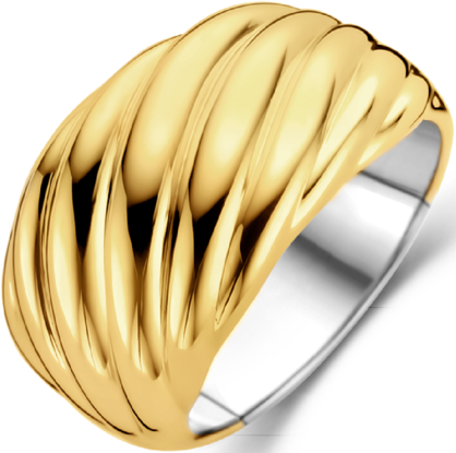 Ti Sento Ti Sento Ring 12238SY/56 Ring Gedraaid Zilver met Geelgouden Plating Maat 56 Goud