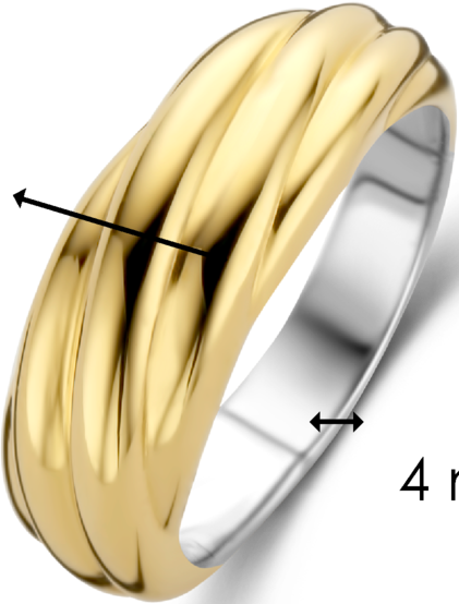 Ti Sento Ti Sento Ring 12239SY/54 Zilver met Geelgouden Plating Maat 54 Goud