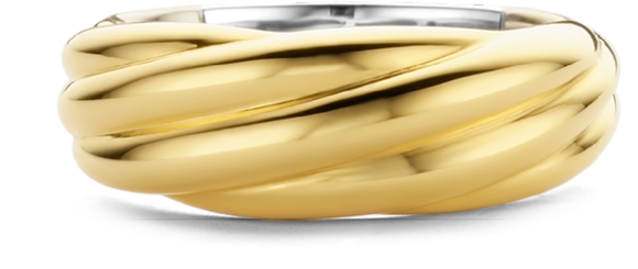 Ti Sento Ti Sento Ring 12239SY/54 Zilver met Geelgouden Plating Maat 54 Goud