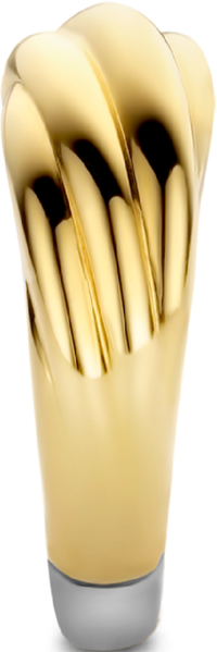 Ti Sento Ti Sento Ring 12239SY/54 Zilver met Geelgouden Plating Maat 54 Goud