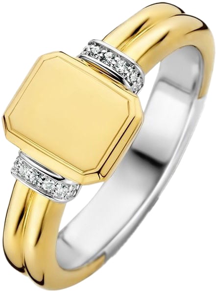 Ti Sento Ring 12240ZY/54 Zilver met Geelgouden Plating Zegel Maat 54 Goud