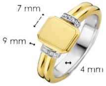 Ti Sento Ring 12240ZY/54 Zilver met Geelgouden Plating Zegel Maat 54 Goud