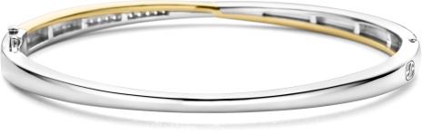 Ti Sento Ti Sento Armband 23045ZY Bangle Zilver Bi-color met Zirkonia Maat 60 Divers