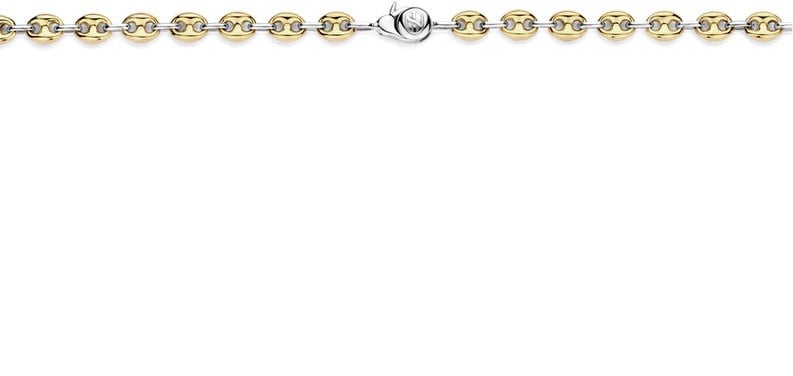 Ti Sento Ti Sento Collier 34067SY/42 Schakel Zilver Gold Plated Goud