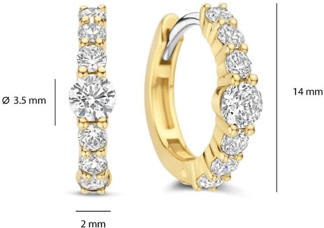 Ti Sento Oorbellen 78073ZY Zilver met Geelgouden Plating met Zirkonia 14mm Goud