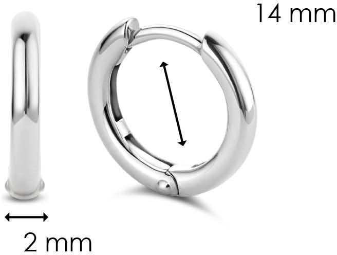 Ti Sento 7812SI Oorbellen Zilver Divers