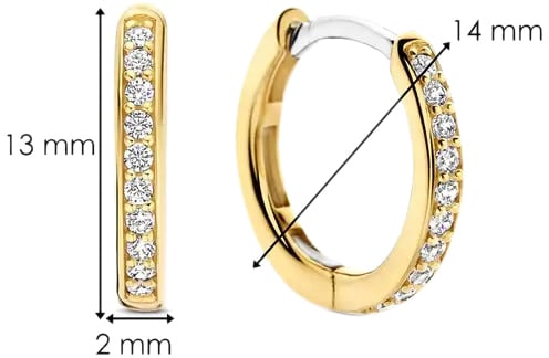 Ti Sento Ti Sento Oorbellen 7812ZY Zilver met Geelgouden Plating en Zirkonia 14mm Goud