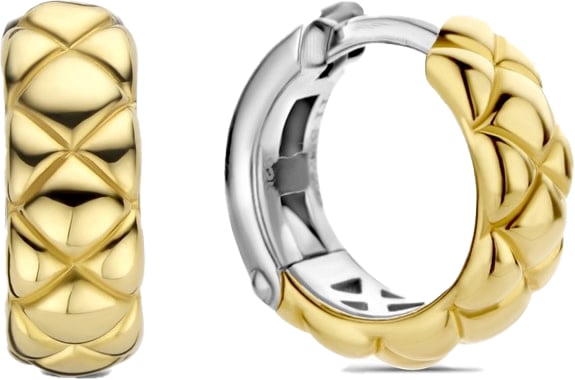 Ti Sento Ti Sento Oorbellen 7911SY Zilver met Geelgouden Platingn en met Relief Divers
