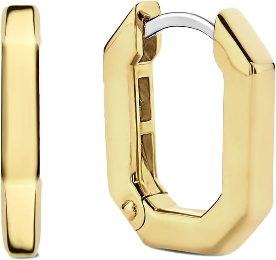 Ti Sento Ti Sento Oorbellen 7929SY Zilver met Goude Plating Achthoek Divers