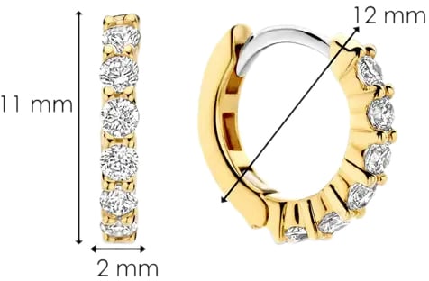 Ti Sento Ti Sento Oorbellen 7956ZY Zilver met Goude Plating en Zirkonia 12mm Goud
