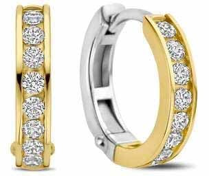 Ti Sento Ti Sento Oorbellen 7973ZY Zilver met Geelgouden plating en Zirkonia Divers
