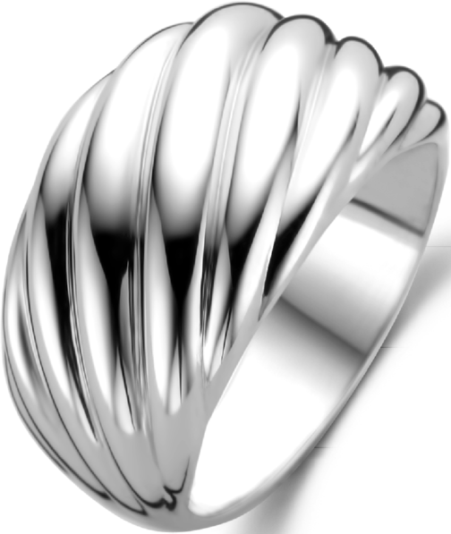 Ti Sento Ti Sento Ring 12238SI/54 Zilver Gedraaid Design Maat 54 Zilver