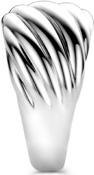Ti Sento Ti Sento Ring 12238SI/54 Zilver Gedraaid Design Maat 54 Zilver