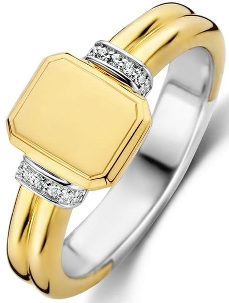 Ti Sento Ti Sento Ring 12240ZY/54 Zilver met Geelgouden Plating Zegel Maat 54 Goud
