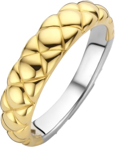 Ti Sento Ti Sento Ring 12289SY/54 Zilver met Geelgouden Plating Relief Maat 54 Goud