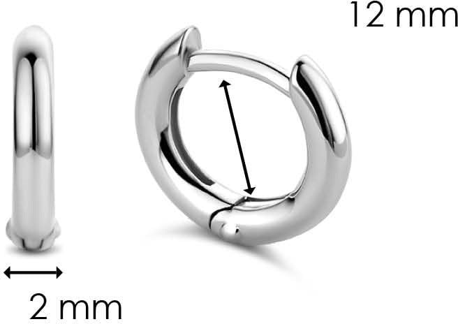 Ti Sento 7811SI Oorbellen Zilver Zilver