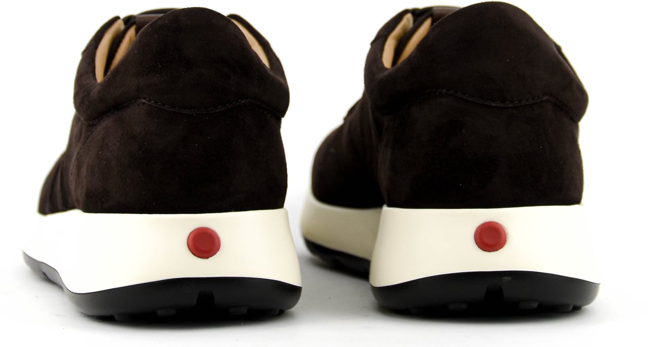 Tod's Tod's  Red Dot Sneaker Pashmy Suede Brown Bruin