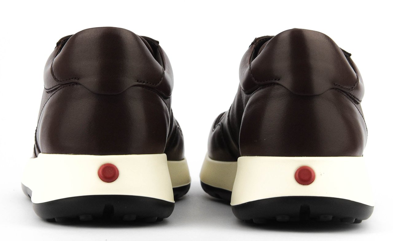 Tod's Red Dot Sneaker Nappa Brown Bruin