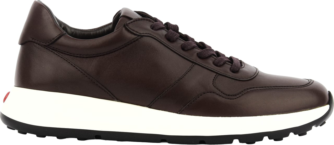 Tod's Red Dot Sneaker Nappa Brown Bruin
