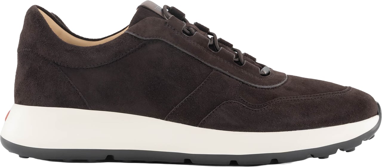 Tod's Allacciato Elastico Sportivo K Bruin