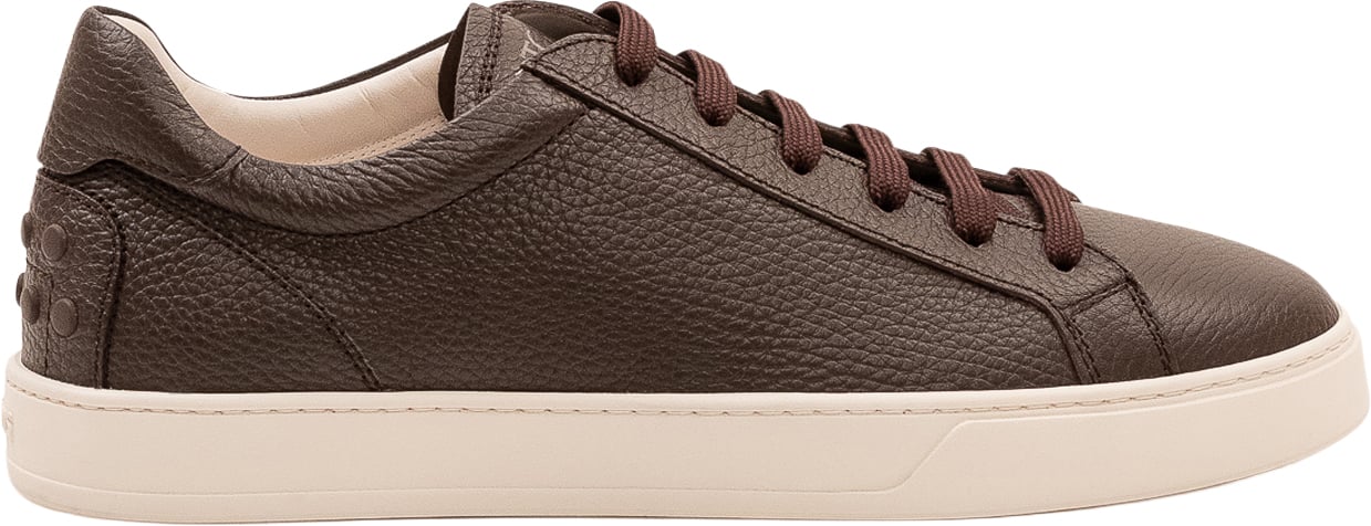 Tod's Sneakers Basse con Lacci Bruin