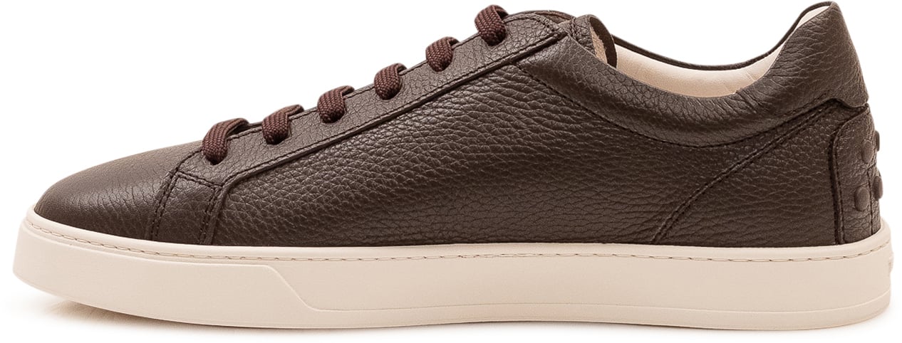 Tod's Sneakers Basse con Lacci Bruin