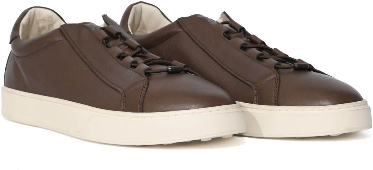 Tod's Sneakers Caffe Bruin