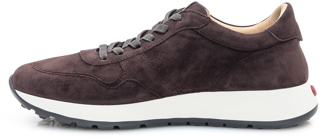 Tod's Sneakers Sportivo 79K Tod s Bruin