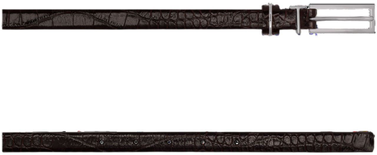 Tom Ford Belts Brown Bruin