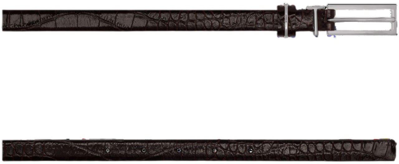 Tom Ford Belts Brown Bruin