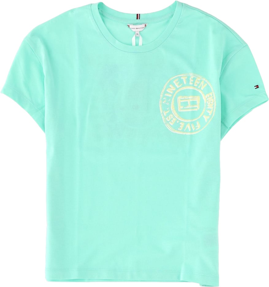 Tommy Hilfiger BACK PRINT TEE S/S Groen